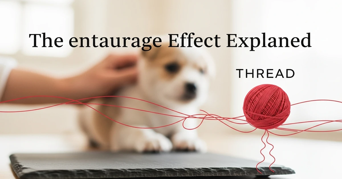 the-entourage-effect-explained for hemp wellness